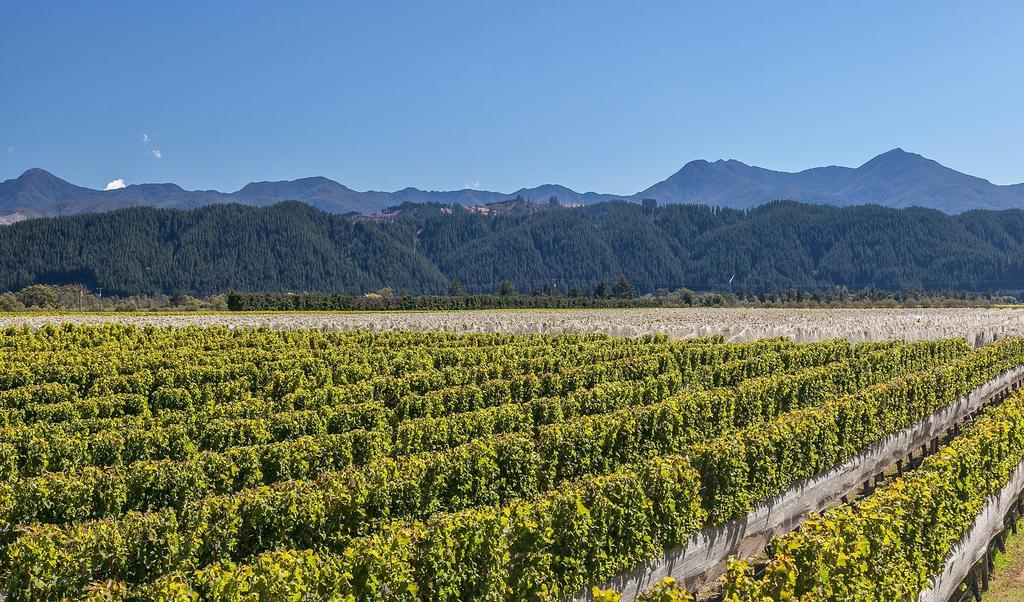 Straw Lodge Vineyard And Boutique Lodging Renwick Cameră foto
