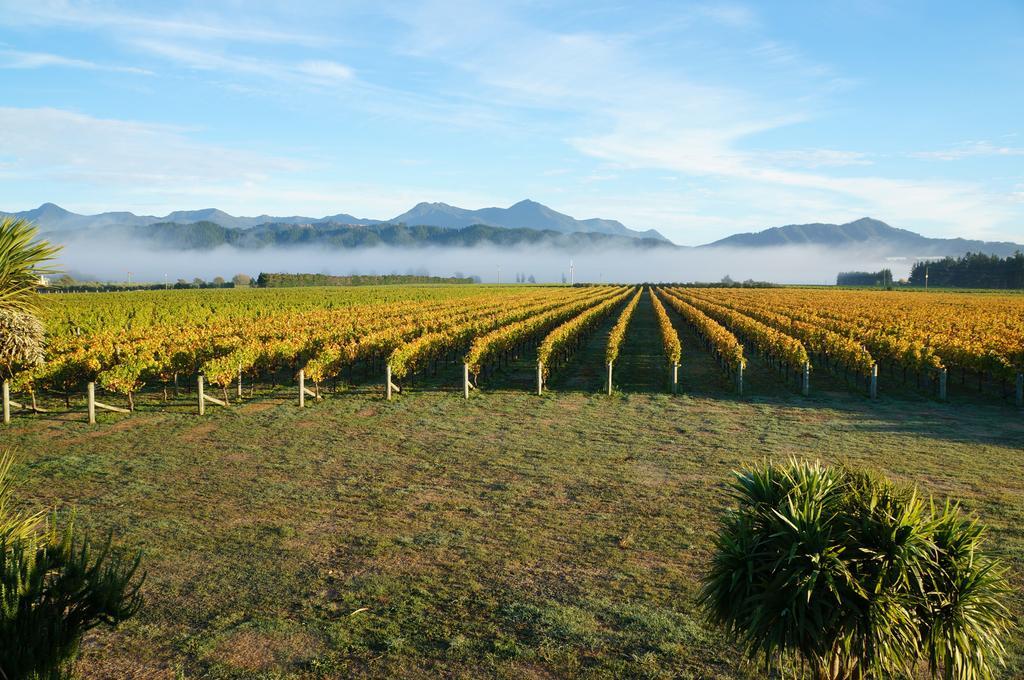 Straw Lodge Vineyard And Boutique Lodging Renwick Cameră foto