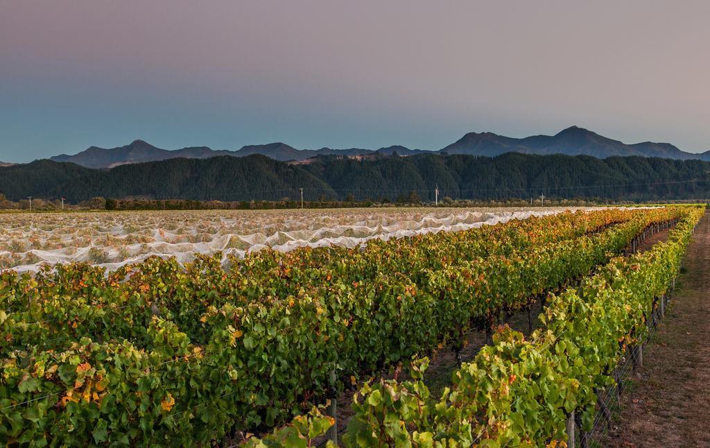 Straw Lodge Vineyard And Boutique Lodging Renwick Exterior foto